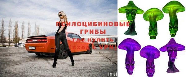 СК Белокуриха