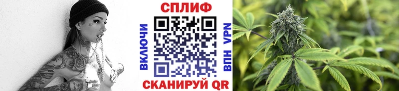 закладка  Вольск  Канабис конопля 